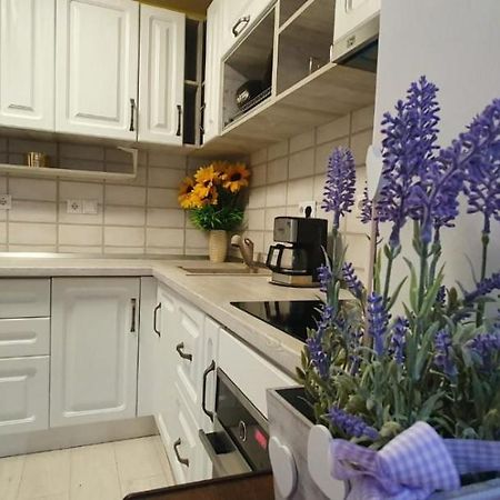 Apartament 3 Camere Spatios Timisoara Ngoại thất bức ảnh