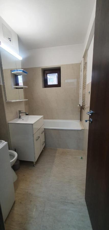 Apartament 3 Camere Spatios Timisoara Ngoại thất bức ảnh